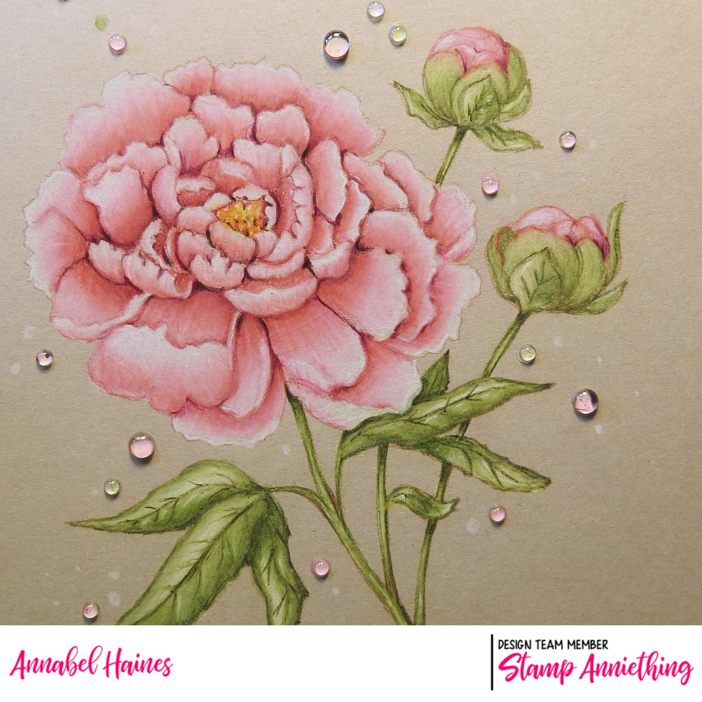 Peony Flower - ONLINE COLORING CLASS - LESSON ONLY NO STAMPS included