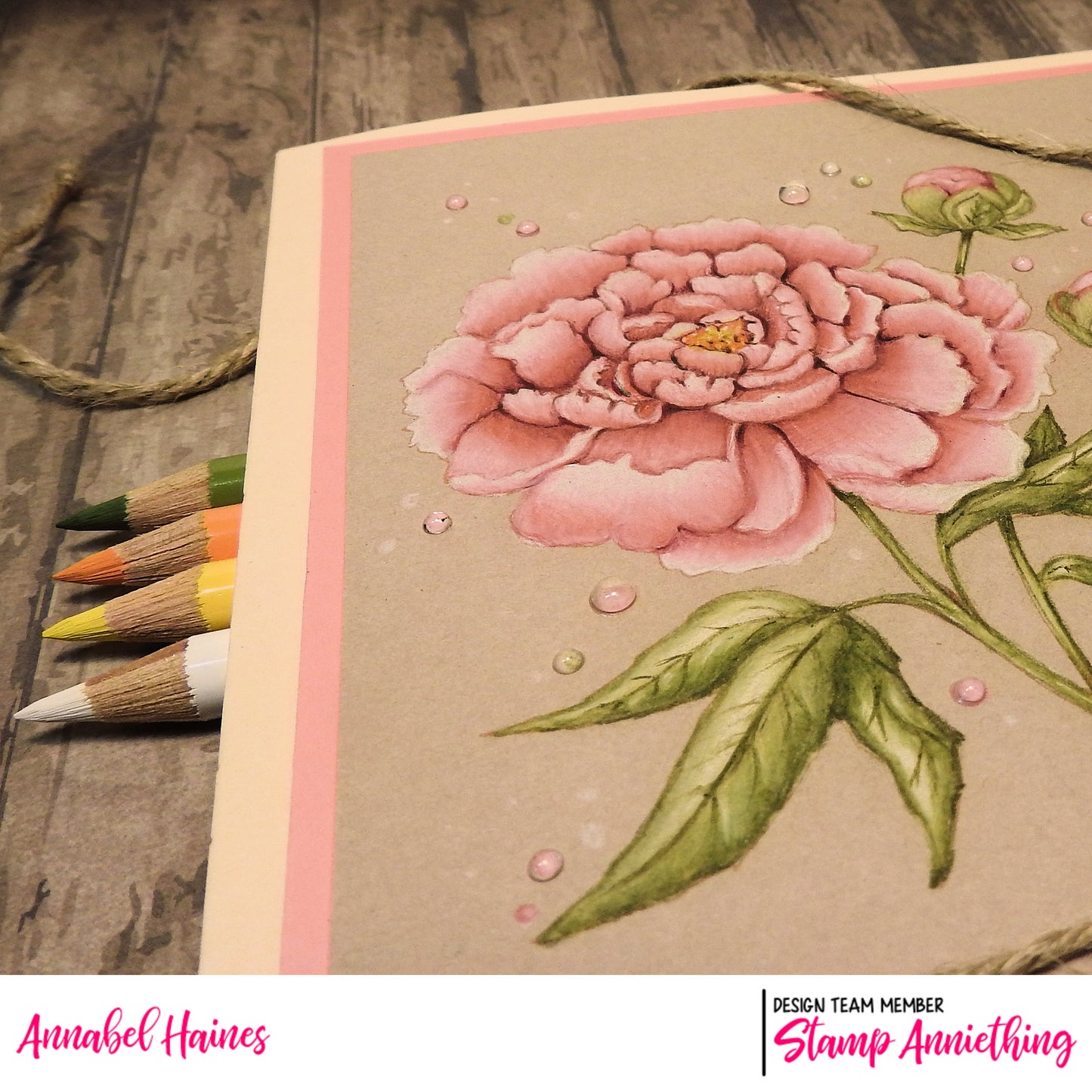 Peony Flower - ONLINE COLORING CLASS - LESSON ONLY NO STAMPS included