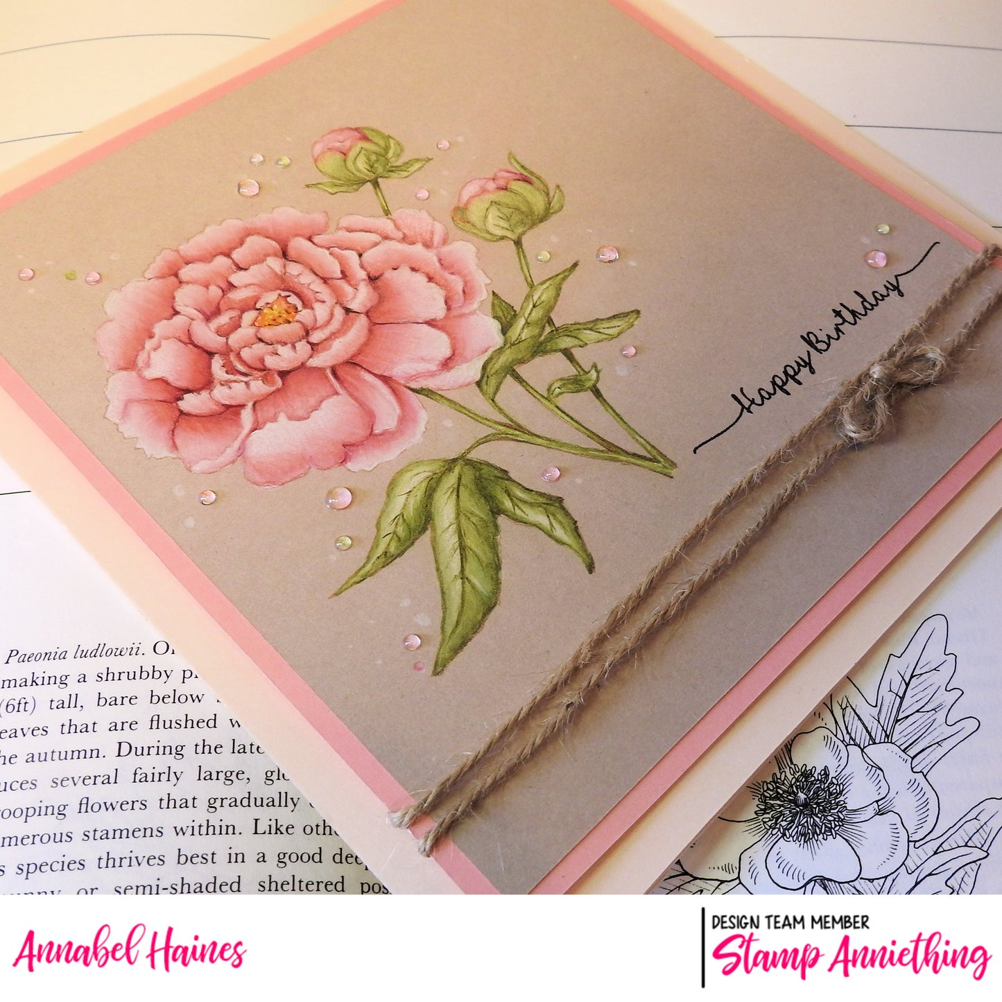 Peony Flower - ONLINE COLORING CLASS - LESSON ONLY NO STAMPS included
