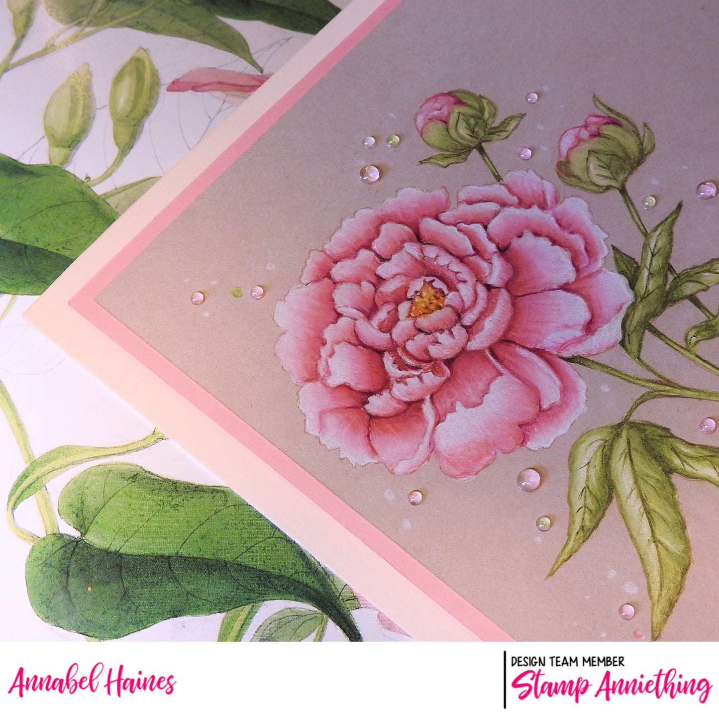 Peony Flower - ONLINE COLORING CLASS - LESSON ONLY NO STAMPS included
