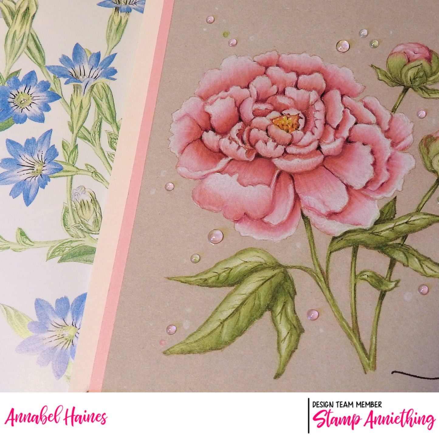 Peony Flower - ONLINE COLORING CLASS - LESSON ONLY NO STAMPS included