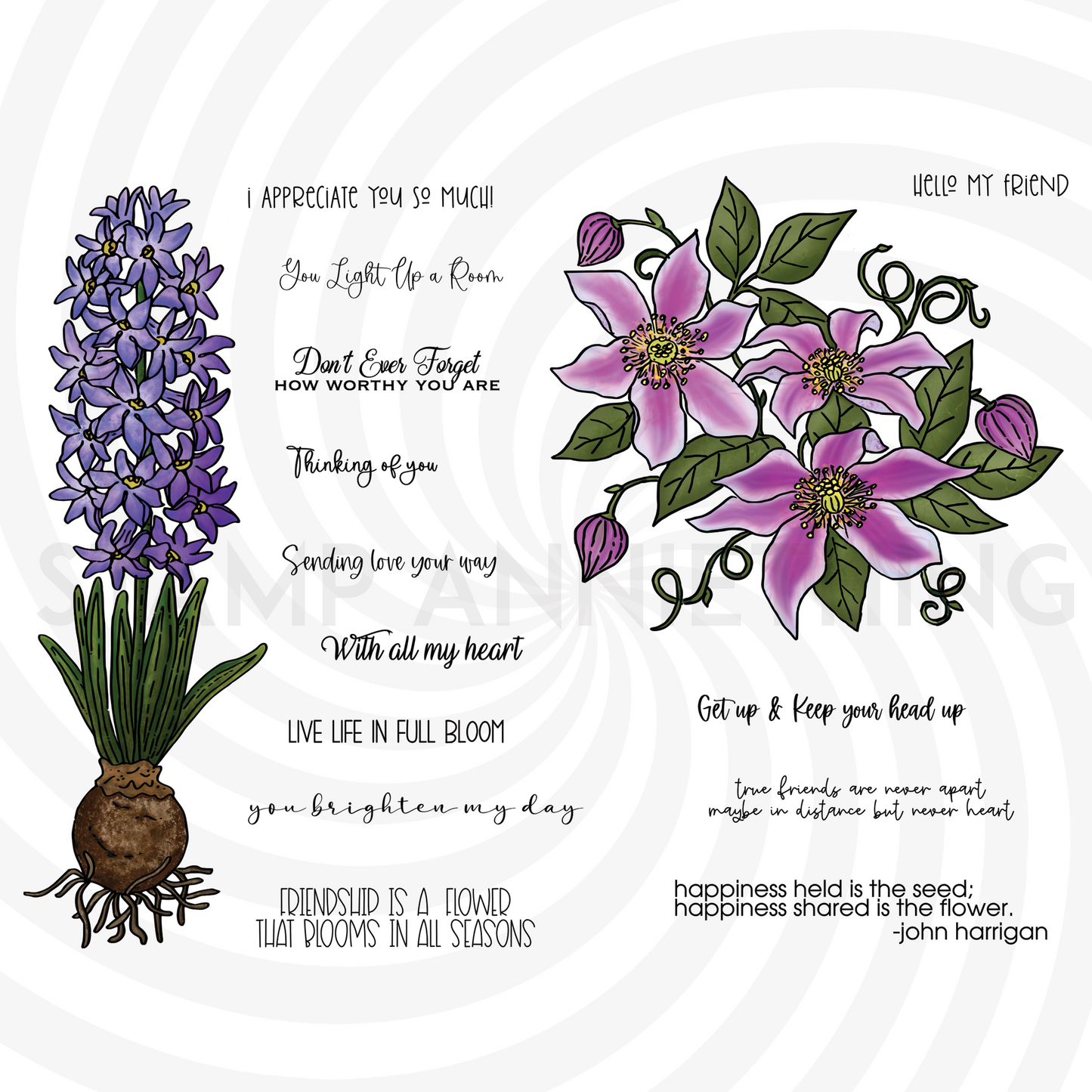 Hyacinth & Clematis
