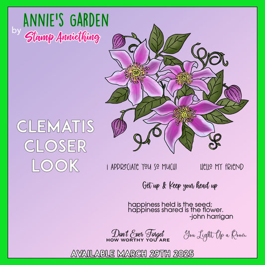 Hyacinth & Clematis