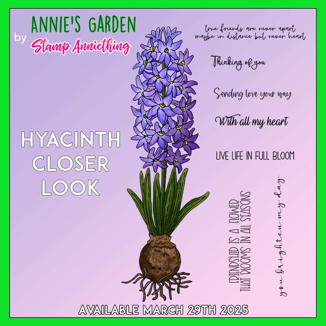 Hyacinth & Clematis