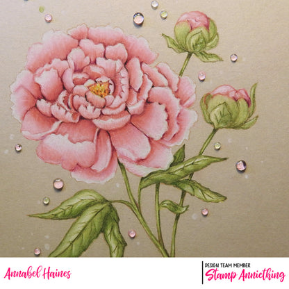 Peony Flower -  ONLINE COLORING CLASS - LESSON ONLY NO STAMPS included